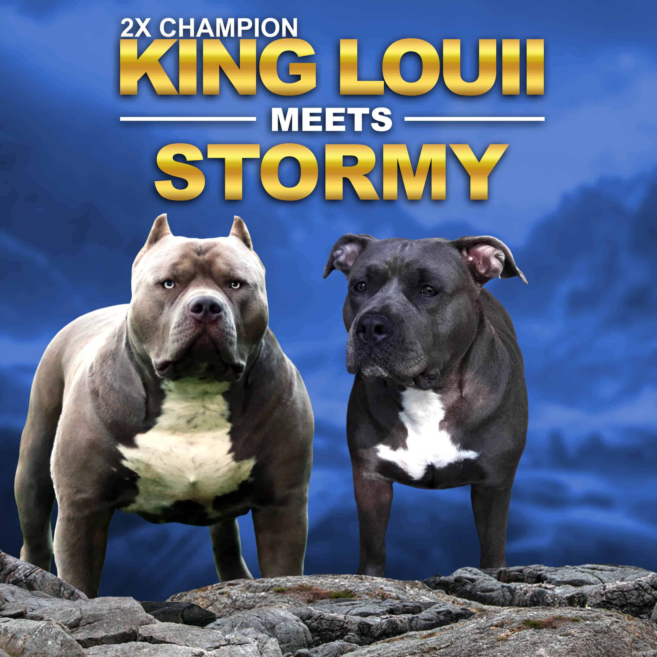 breedings Monster Bully Kennels