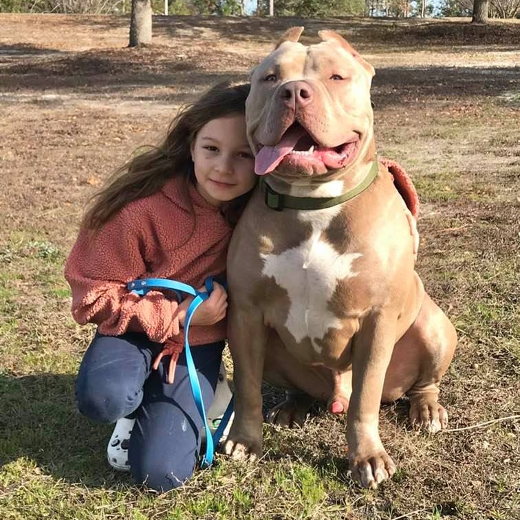 TESTIMONIALS Monster Bully Kennels