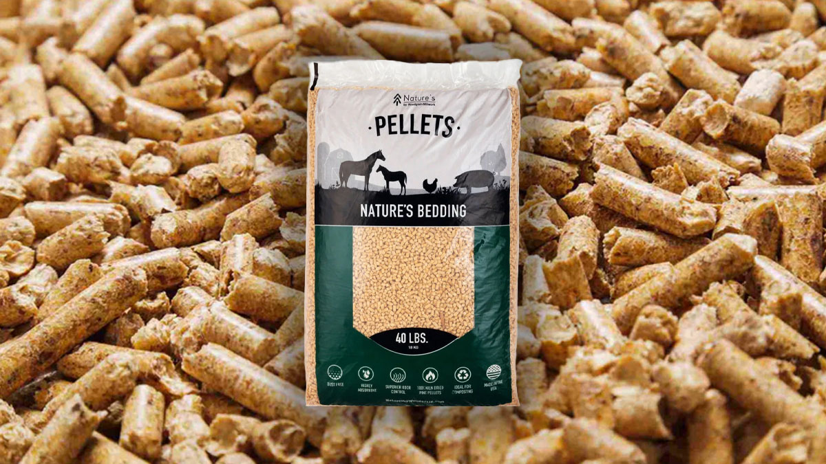 Featured image for “How We Potty Train Our Puppies (Pellet Method)”